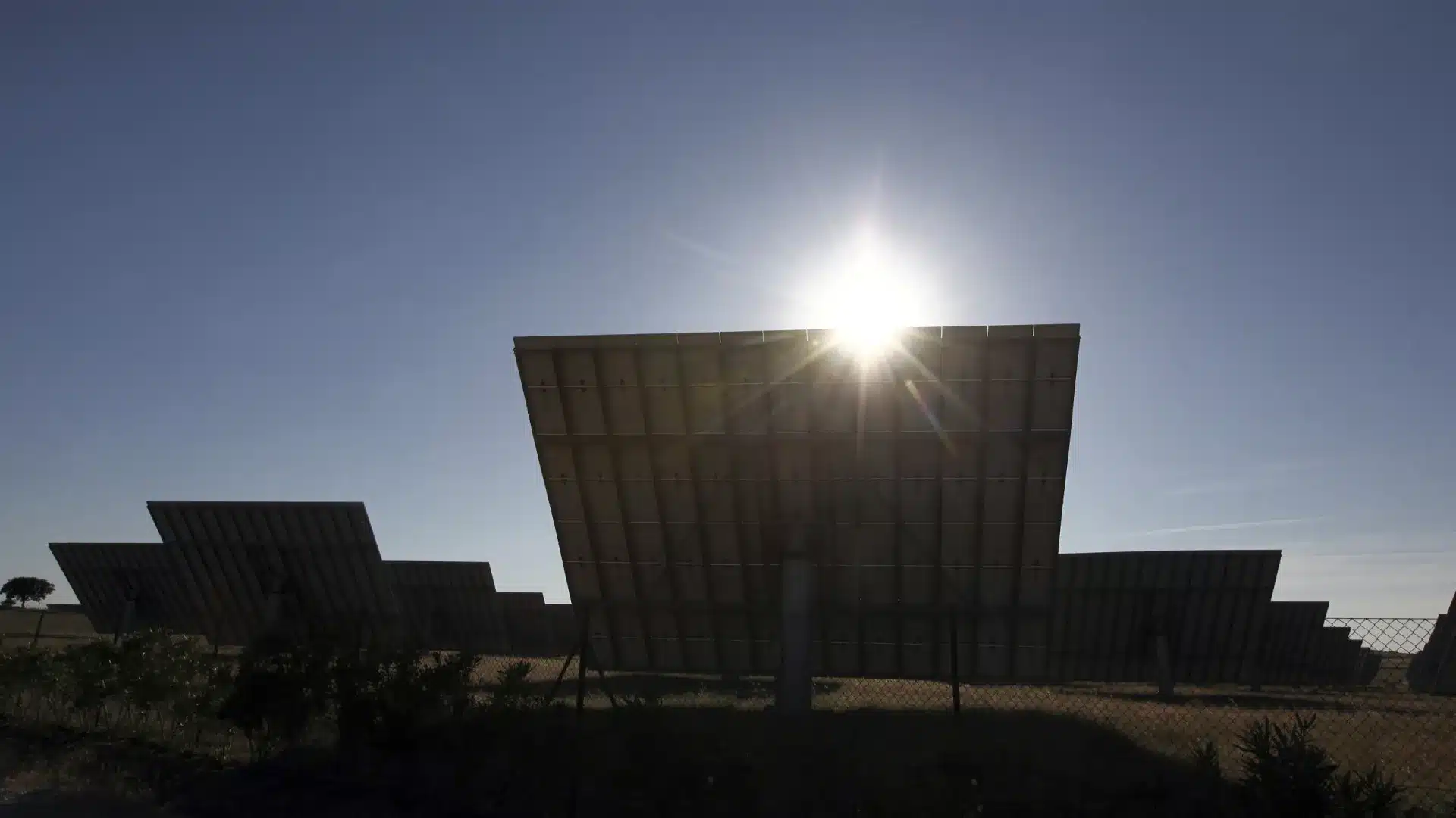 Zero défend le démantèlement du plomb de la centrale photovoltaïque de Beira car il menace la biodiversité.