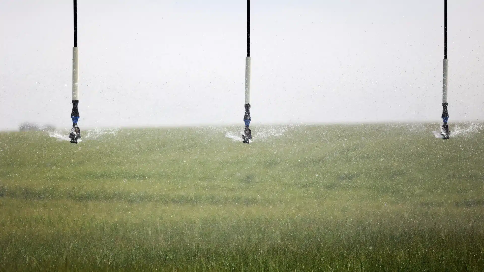 Zéro plainte contre le Portugal en Europe pour non-respect de la loi sur l'eau.