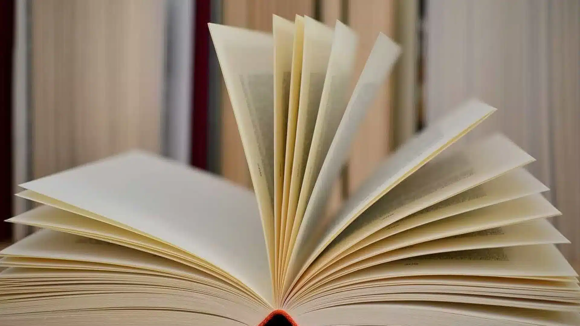 25 novembre : Un livre réfléchit aux divisions qui subsistent dans la société