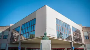 Amadora-Sintra propose la création d'un centre pour renforcer la réponse aux urgences.