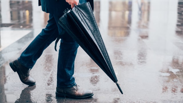 Après la tempête vient le calme. La pluie fera une pause la semaine prochaine.