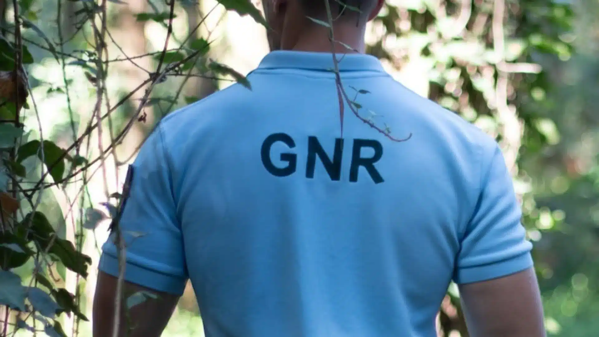 Arrestation préventive pour une mère et son fils soupçonnés de trafic de drogue à Águeda.