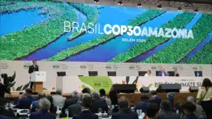 Bons résultats à la COP30 ? Les environnementalistes entre scepticisme et pessimisme.