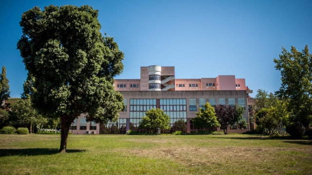 Coma et hypotension : Bébé n'a pas survécu. La tragédie à l'Amadora-Sintra