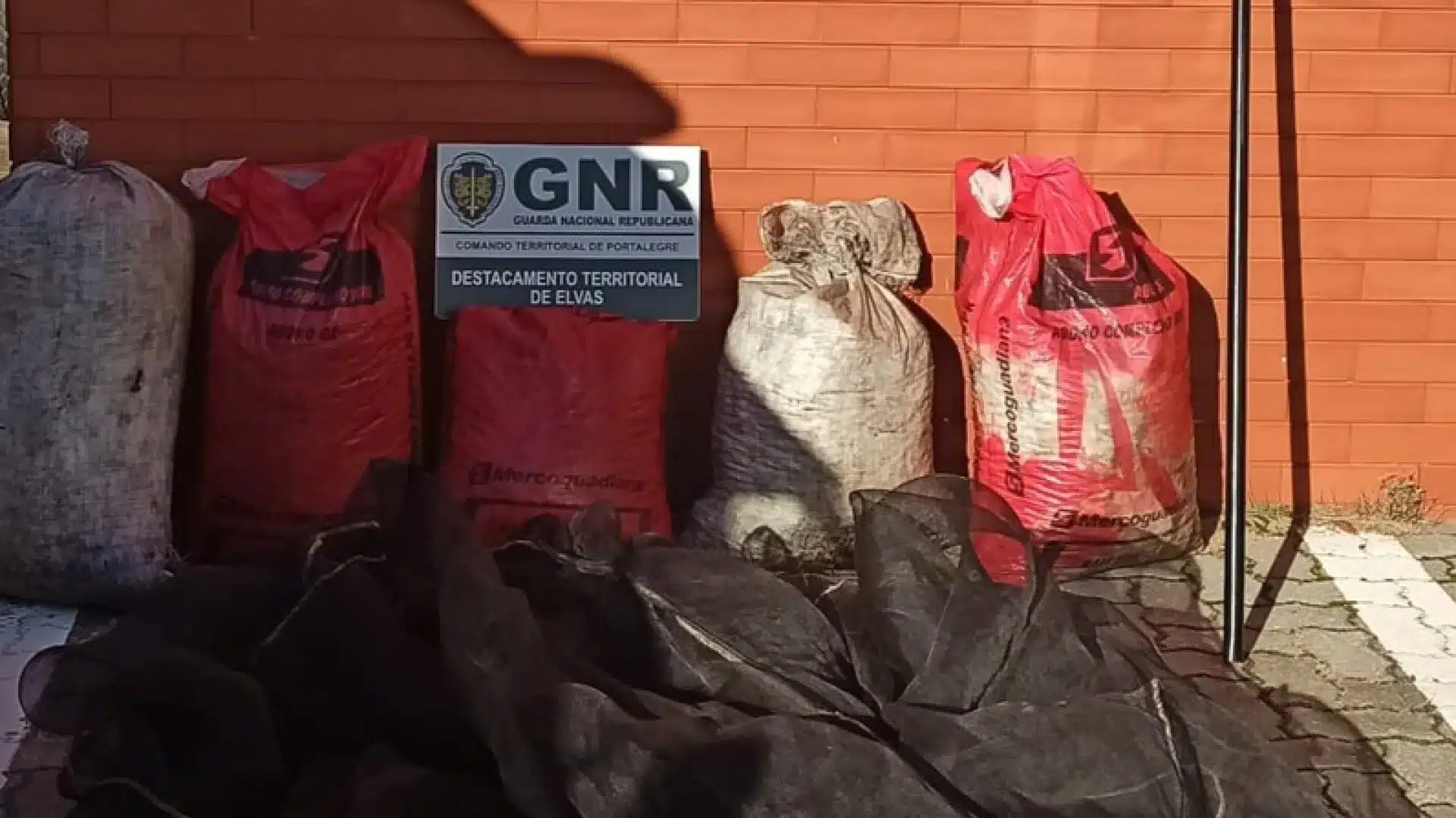 Couple arrêté après avoir volé près de 150 kilos d'olives à Campo Maior.