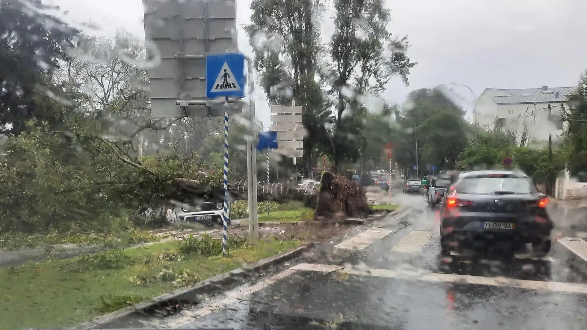 Des arbres tombent et atteignent des voitures et des balcons à Oeiras. La mairie lance une alerte.