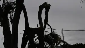 Destructeur. Phénomène extrême de vent fait tomber des structures à Faro.