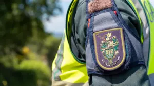 Deux personnes âgées arrêtées à Mirandela pour chasse dans une zone protégée