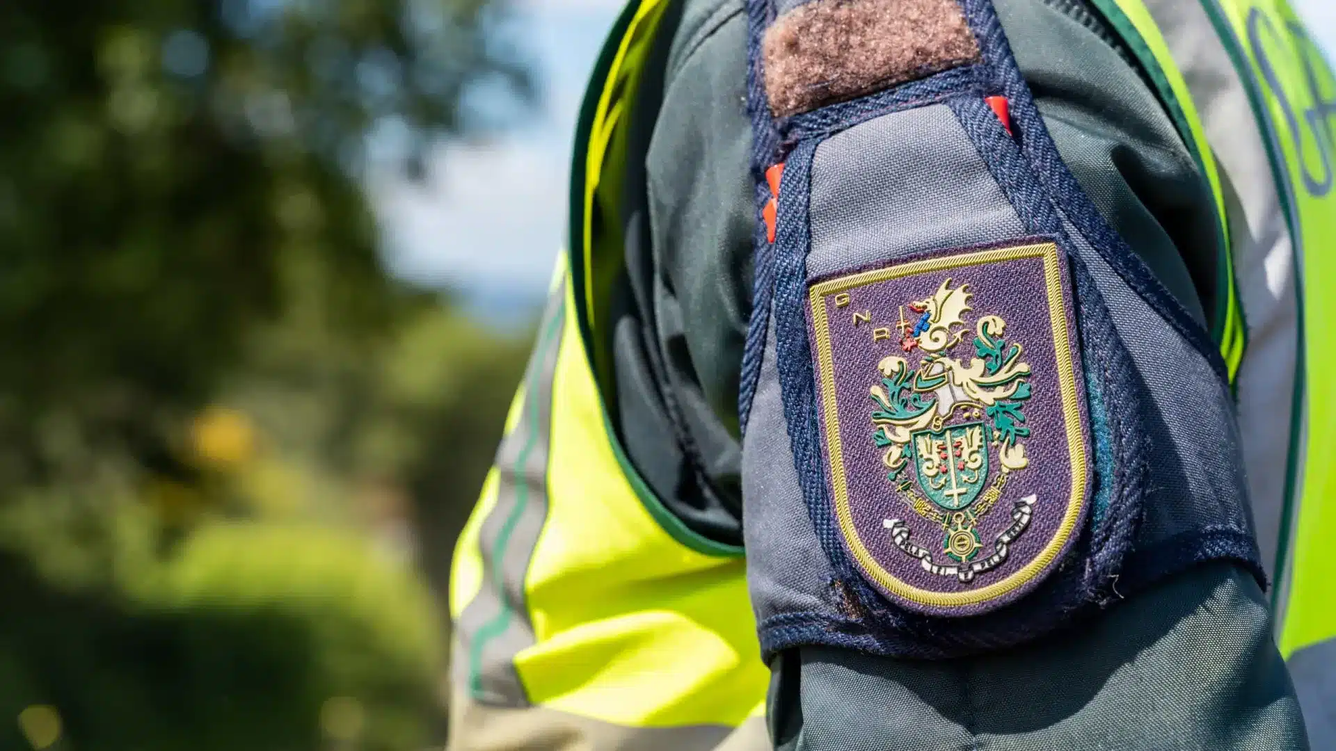 Deux personnes âgées arrêtées à Mirandela pour chasse dans une zone protégée