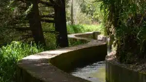 Dix personnes identifiées circulant sur des parcours fermés à Madère