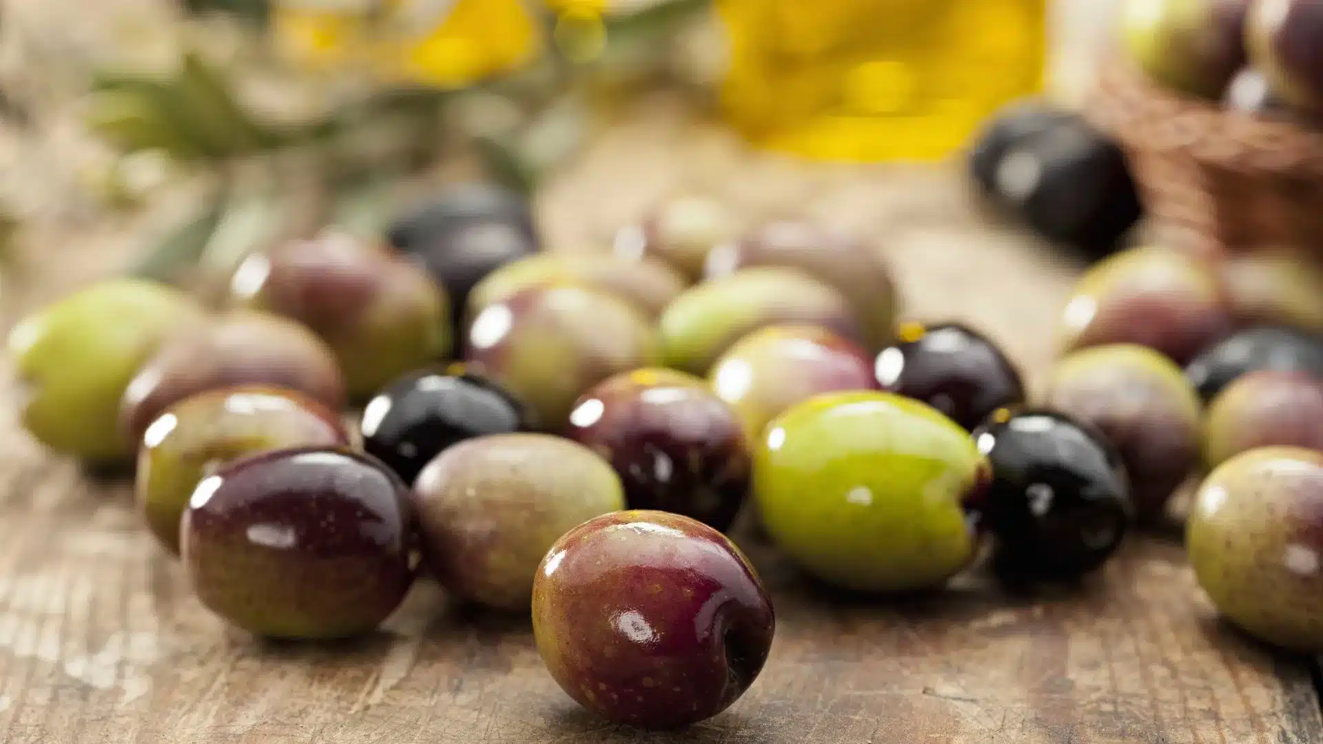 "D'une importance majeure" : Le grignon d'olive passe de déchet à ressource