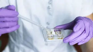 Enseignants de physique et de chimie hors concours pour les écoles défavorisées