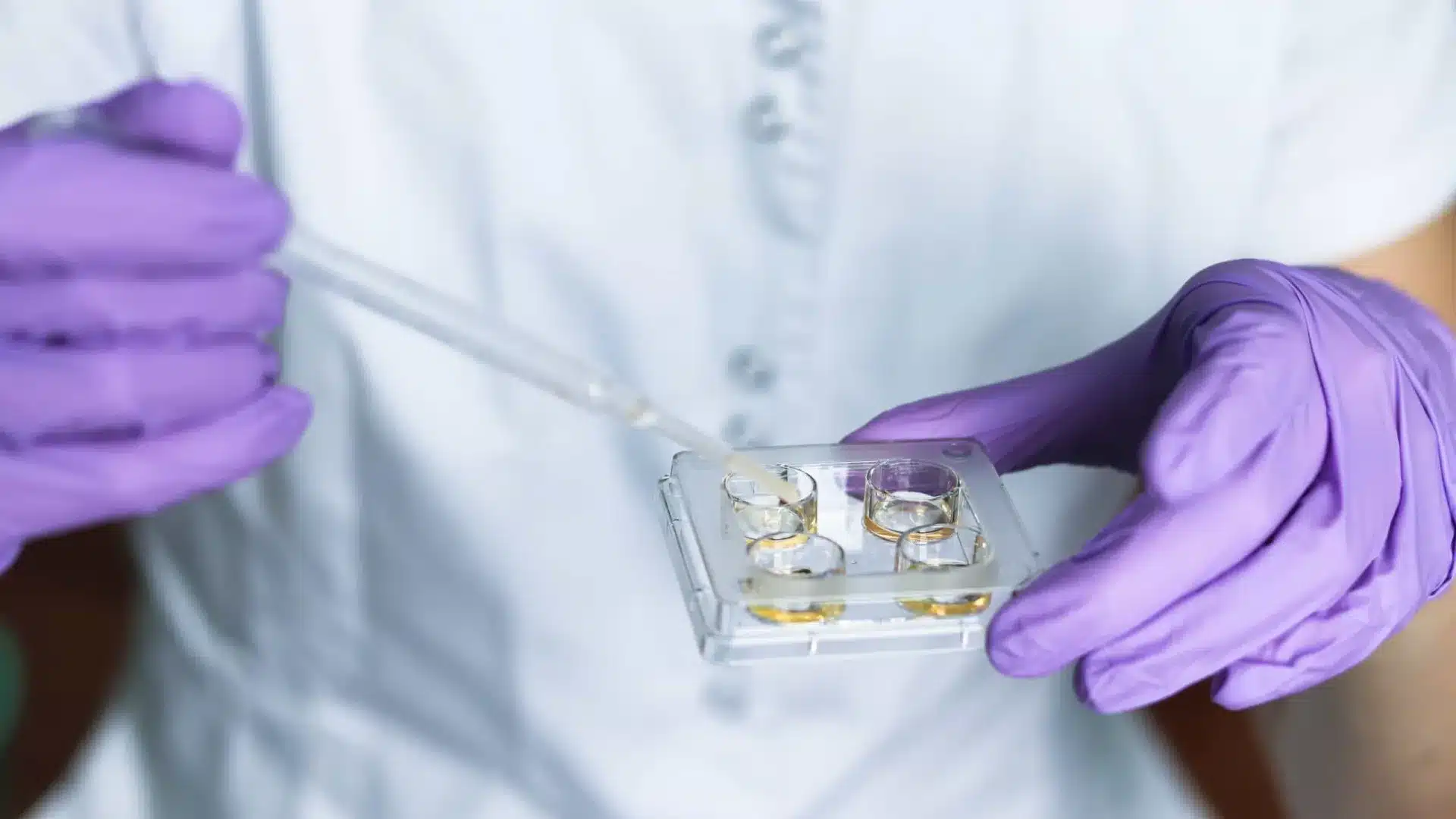 Enseignants de physique et de chimie hors concours pour les écoles défavorisées