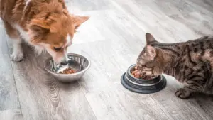 Exemptions prolongées de TVA sur les engrais et l'alimentation pour animaux de compagnie