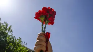 Exposition à Leiria évoque le mouvement étudiant après le 25 avril