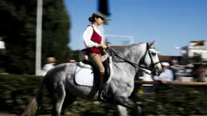 Golegã investit 600 mille euros dans la Foire du Cheval