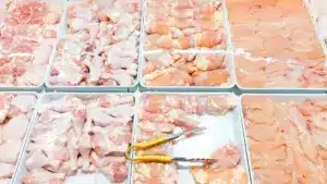 Grippe aviaire : Hong Kong interdit l'importation de viande du district de Porto.