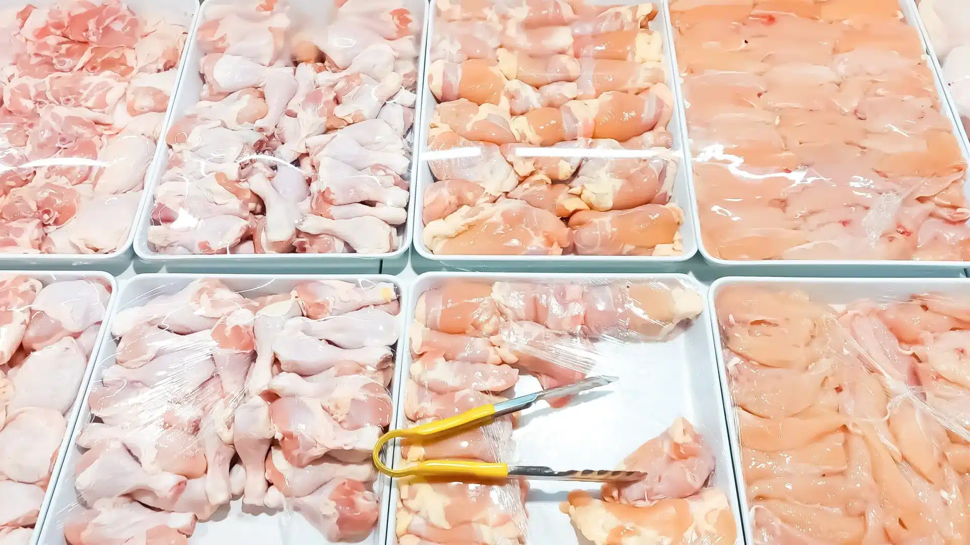 Grippe aviaire : Hong Kong interdit l'importation de viande du district de Porto.