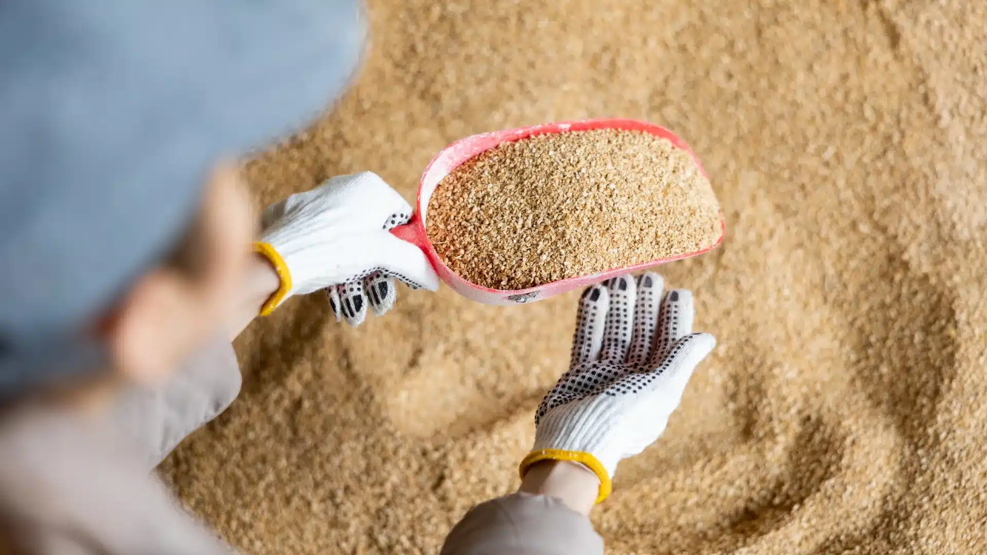 Incendies : Le gouvernement augmente à 2,1 millions le soutien à l'alimentation animale.