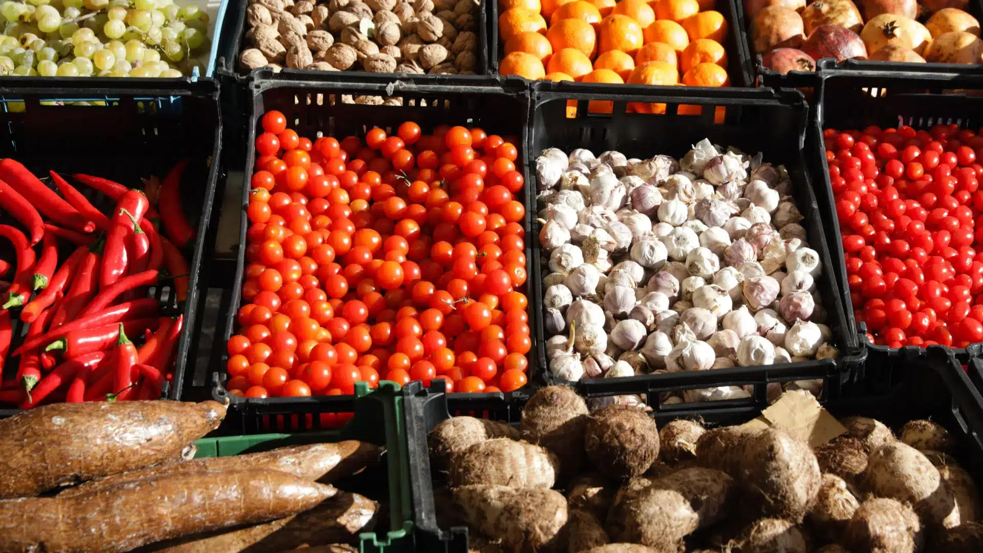 Indice des prix des aliments en baisse de 1,6 % en octobre.