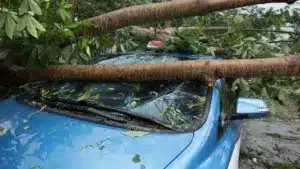 Inondations ou chute d'arbres : L'assurance automobile couvre-t-elle les dommages ? Qui paie ?