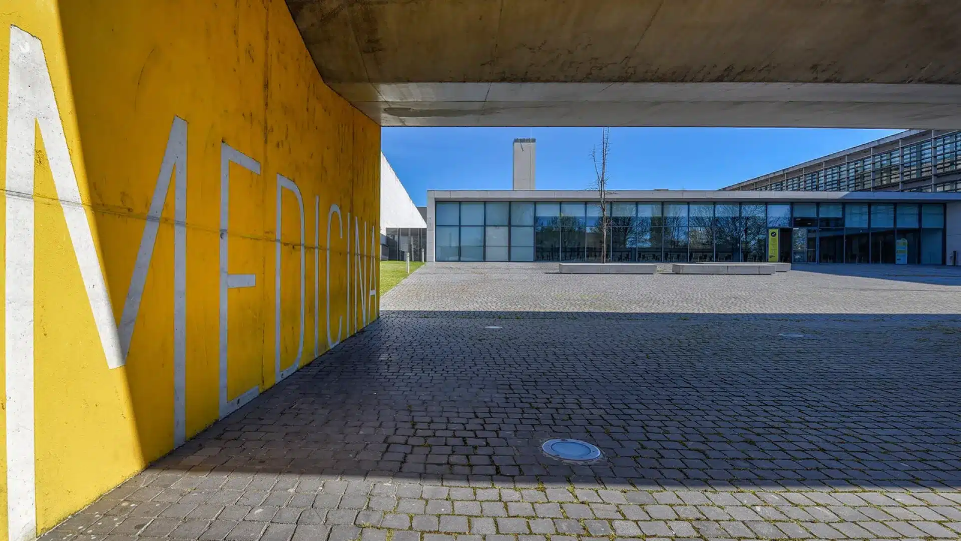 La Faculté de Médecine de Porto souhaite intégrer les 30 candidats exclus.