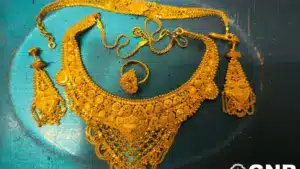 La GNR démantèle un réseau criminel qui opérait dans les supermarchés. Il y a 8 détenus.