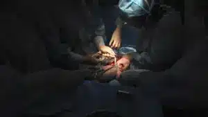 La Médecine Reproductive de Cova da Beira contribue à la naissance de 220 bébés.