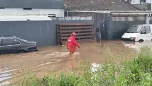 L'association tient la mairie et l'association responsables de la mort de deux personnes âgées à Seixal.