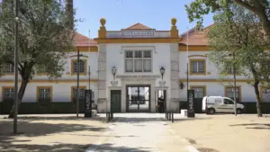 Le bénéfice de Vista Alegre baisse de 33,8 % jusqu'en septembre à 2,5 millions.