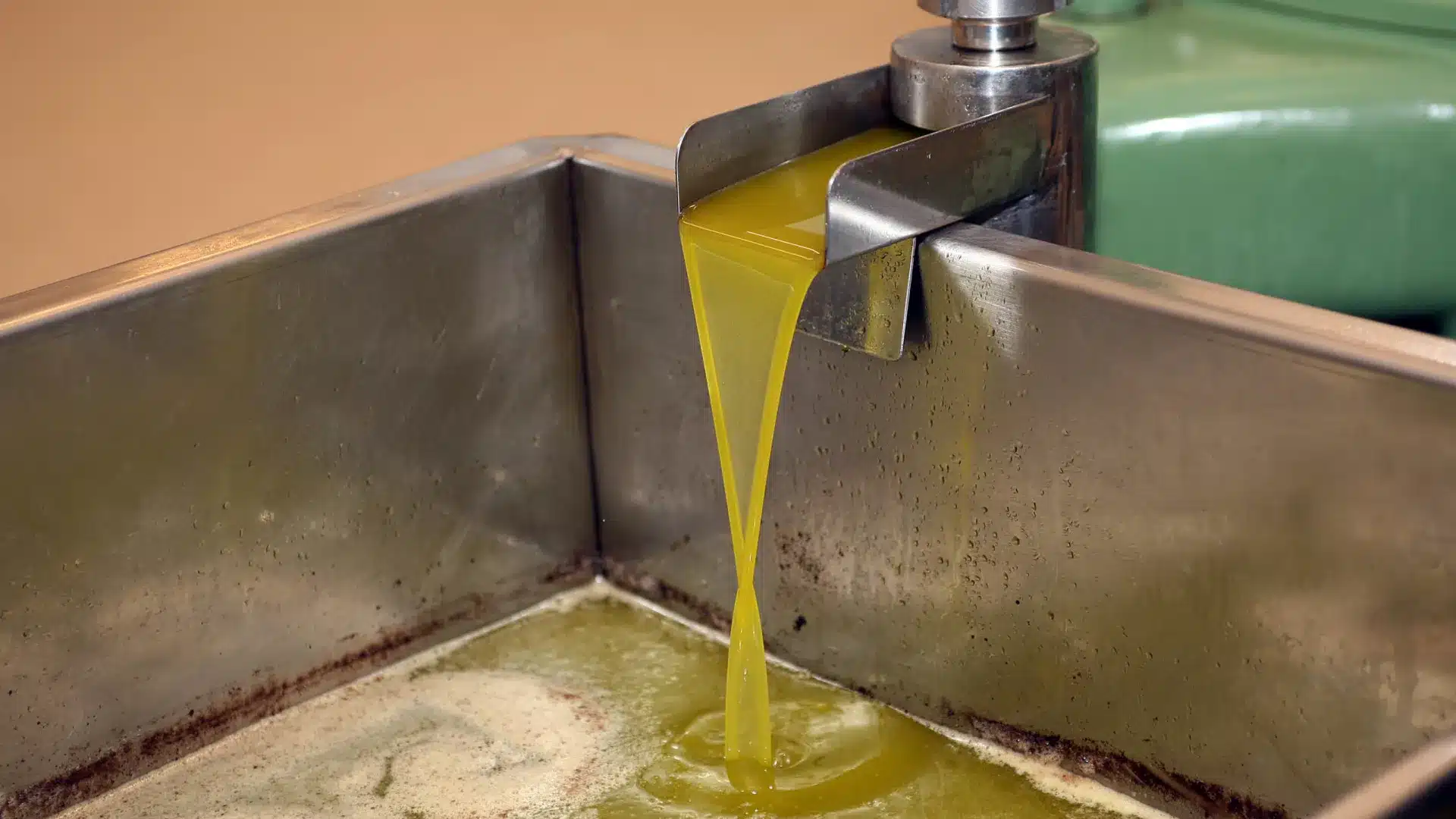 Le commerce international de l'huile d'olive devrait atteindre un "record historique".