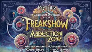 Le DJ et producteur portugais Suria joue dans un festival de musique en Californie.