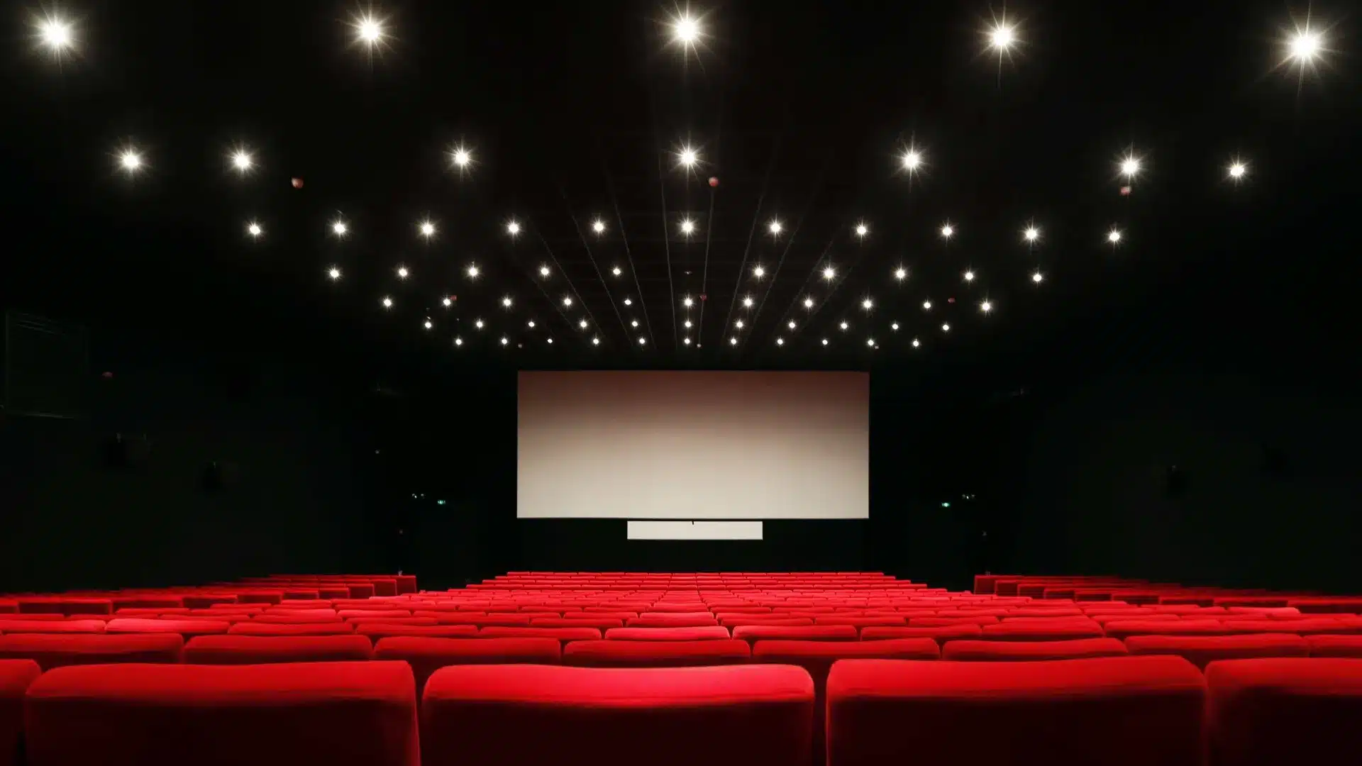 Le gouvernement crée un groupe de travail à cause de la fermeture des salles de cinéma.