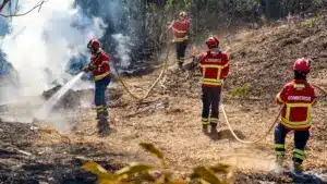 Le gouvernement va investir 52 millions dans des équipements pour prévenir les incendies.
