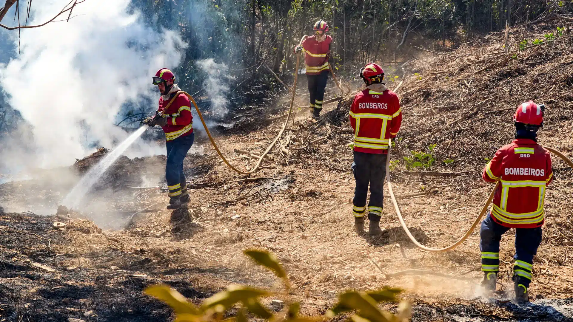 Le gouvernement va investir 52 millions dans des équipements pour prévenir les incendies.