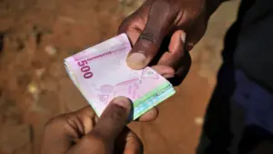 Le gouvernement veut 270 000 émigrés pour investir leurs envois de fonds au Mozambique.