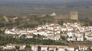 Le musée Garcia de Orta a reçu plus de 5 500 visiteurs la première année.
