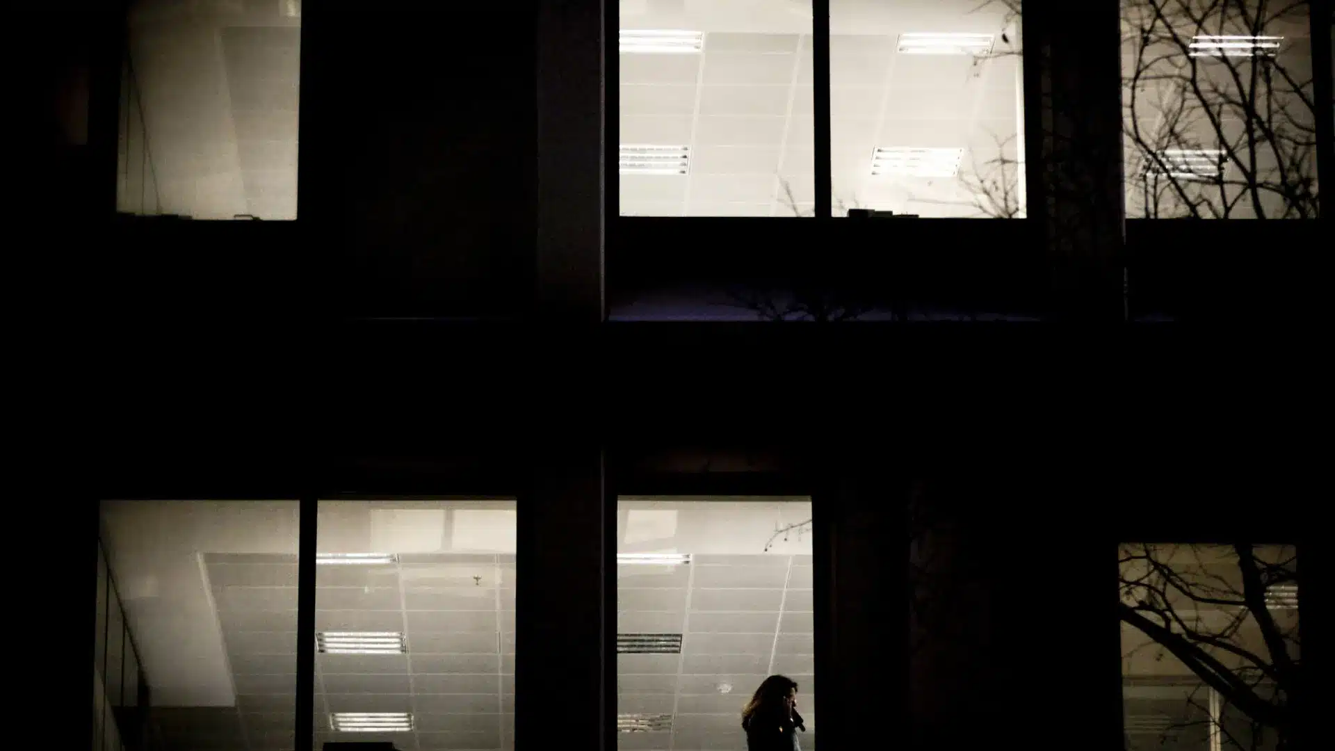 Le nombre d'entreprises créées atteint un niveau record depuis 20 ans.