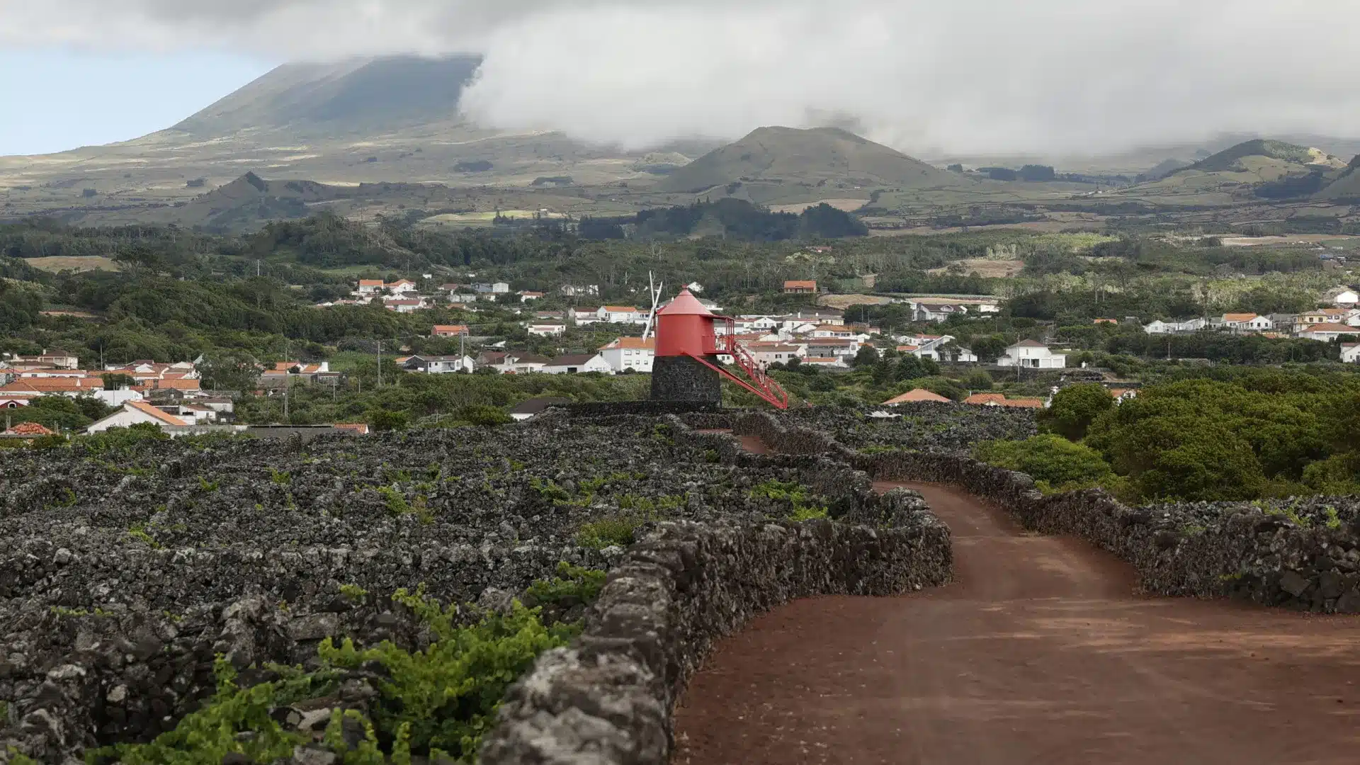 Le plan de soutien à l'agriculture met 24 millions à la disposition des Açores.