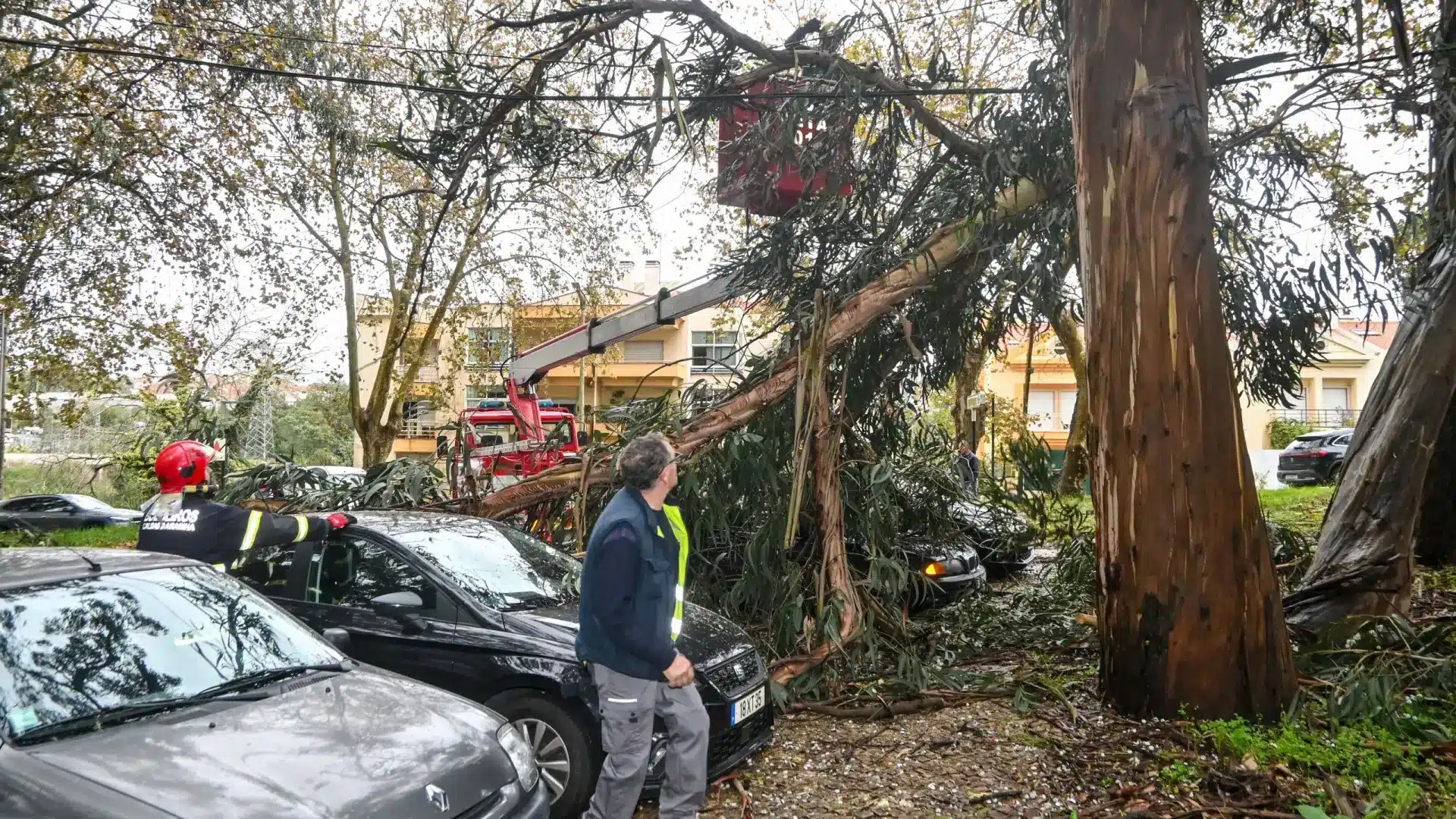 Le Portugal continental enregistre 198 occurrences pendant la nuit.