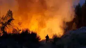 Le rapport de l'OCDE souligne des "défaillances de coordination" dans les incendies de 2024 et 2025.