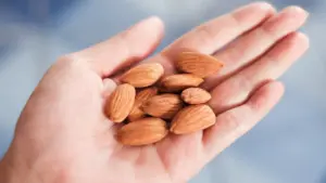 Le secteur prévoit une baisse de la production d'amandes en raison du mauvais temps.
