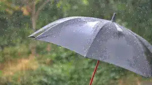 Le week-end sera de "fortes pluies" avec plusieurs districts sous alerte samedi.
