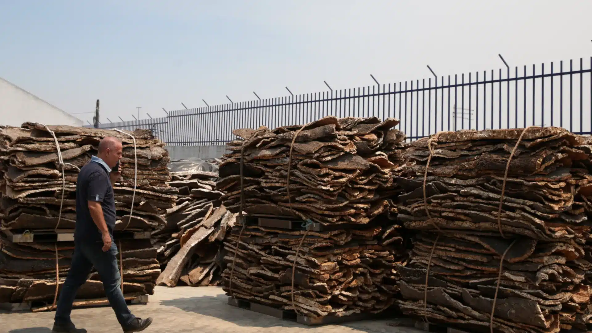 Les bénéfices de Corticeira Amorim ont chuté de 4,5 % à 45,7 millions jusqu'en septembre.