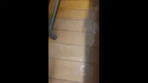 Les casernes des sapeurs de Lisbonne sont inondées "à chaque fois qu'il pleut". Voir