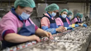 Les exportations de l'industrie de la conserverie augmentent de 12 % pour atteindre 199 millions.