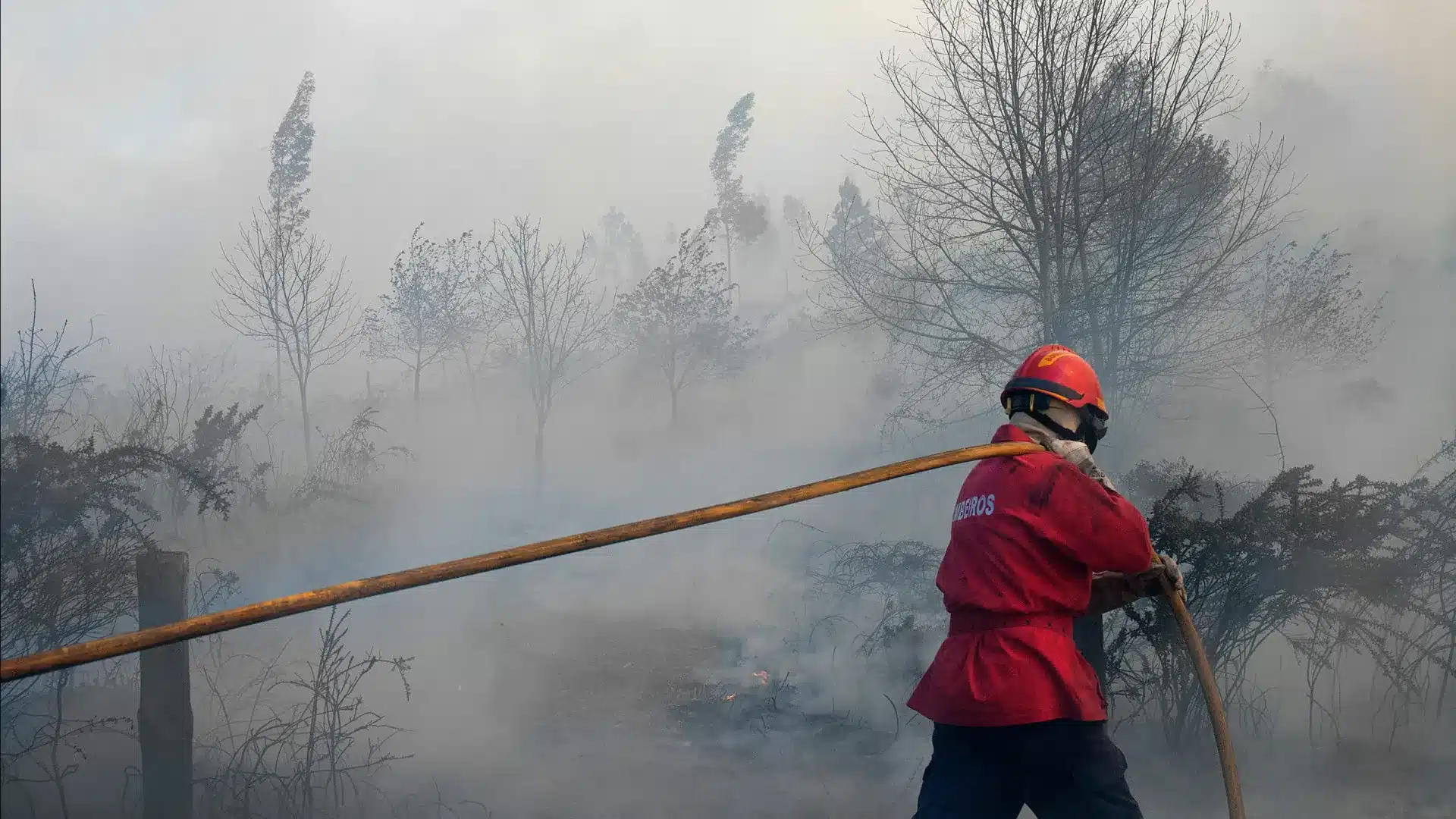 Les pompiers de Fundão peuvent être expulsés si les accusations sont confirmées.