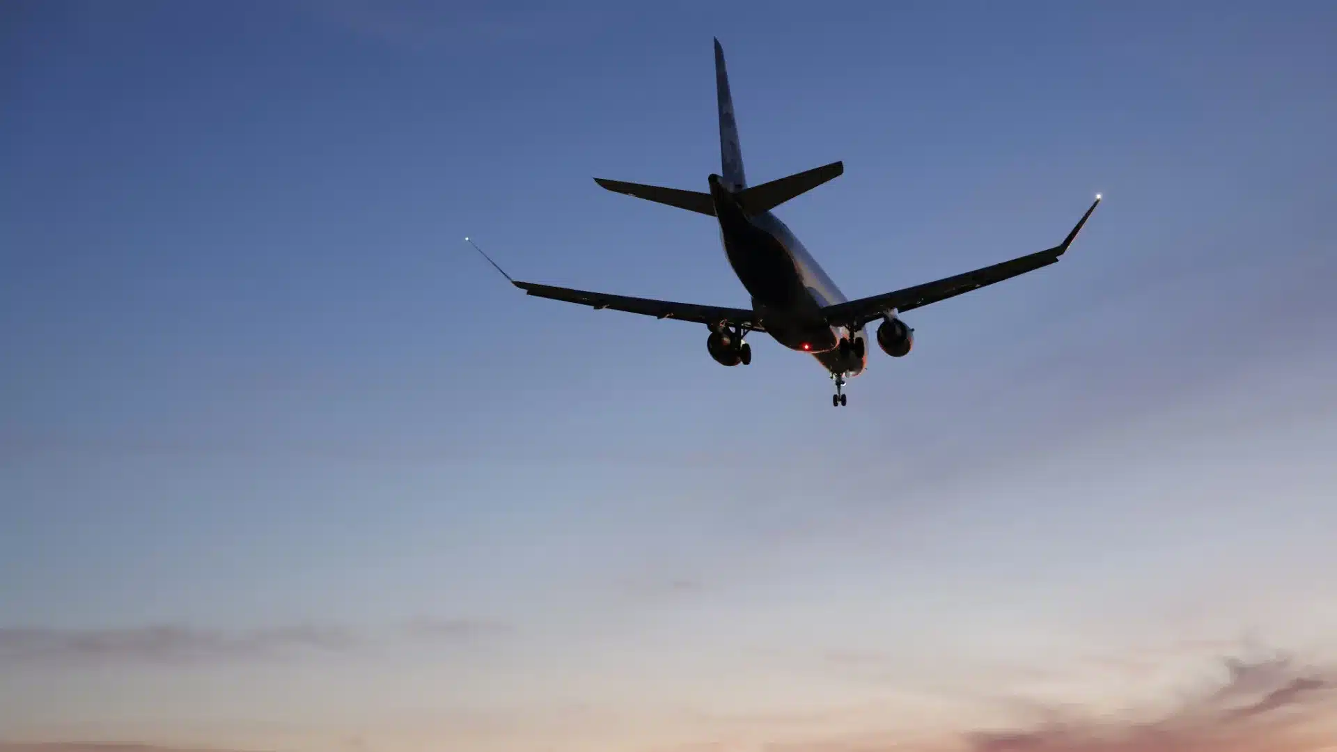 Les transitaires dénoncent "l'effondrement" de la manutention du fret dans les principaux aéroports.