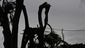 L'IPMA confirme une "tornade" en Algarve avec des rafales de vent de 220 km/h.