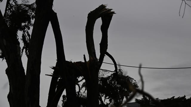 L'IPMA confirme une "tornade" en Algarve avec des rafales de vent de 220 km/h.